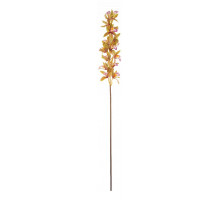 Ветка (102 см) Орхидея Дендробиум 278-134