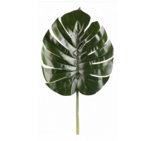 Зелень (70 см) Широкий лист 21004300